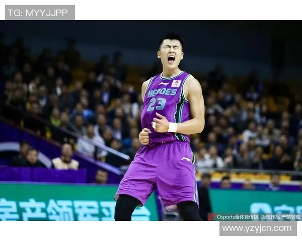 北京与吉林精彩对决全场回放分析及精彩瞬间回顾